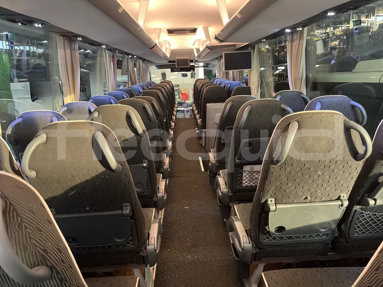 Coach Man Lion's Coach: picture 29 Coach Man Lion's Coach: picture 29