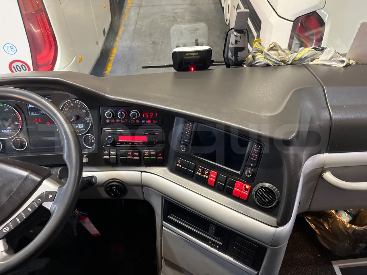 Coach Man Lion's Coach: picture 41 Coach Man Lion's Coach: picture 41