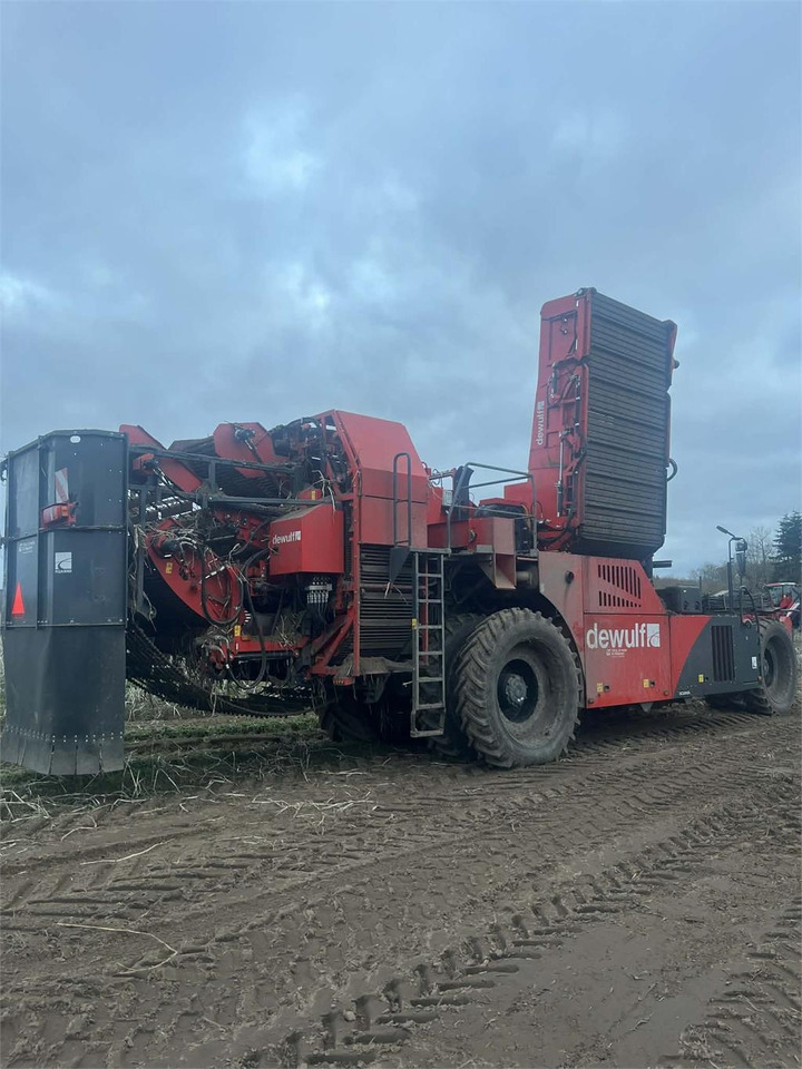 Dewulf RQA3060 - Potato harvester: picture 4 Dewulf RQA3060 - Potato harvester: picture 4