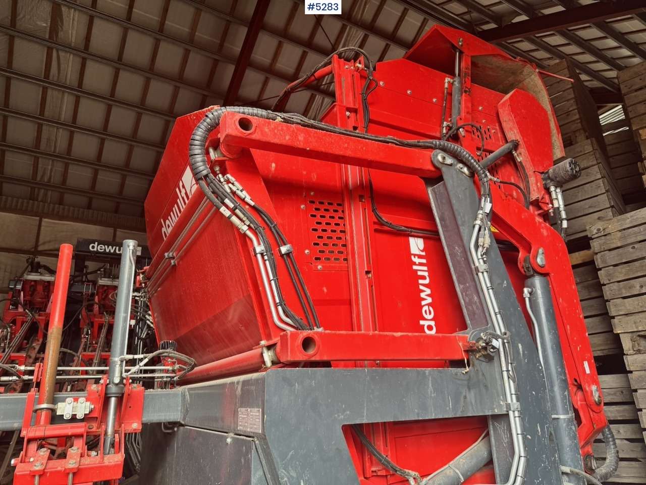2020 Dewulf GB11 Carrot Harvester. Well equipped. - Harvester: picture 5 2020 Dewulf GB11 Carrot Harvester. Well equipped. - Harvester: picture 5