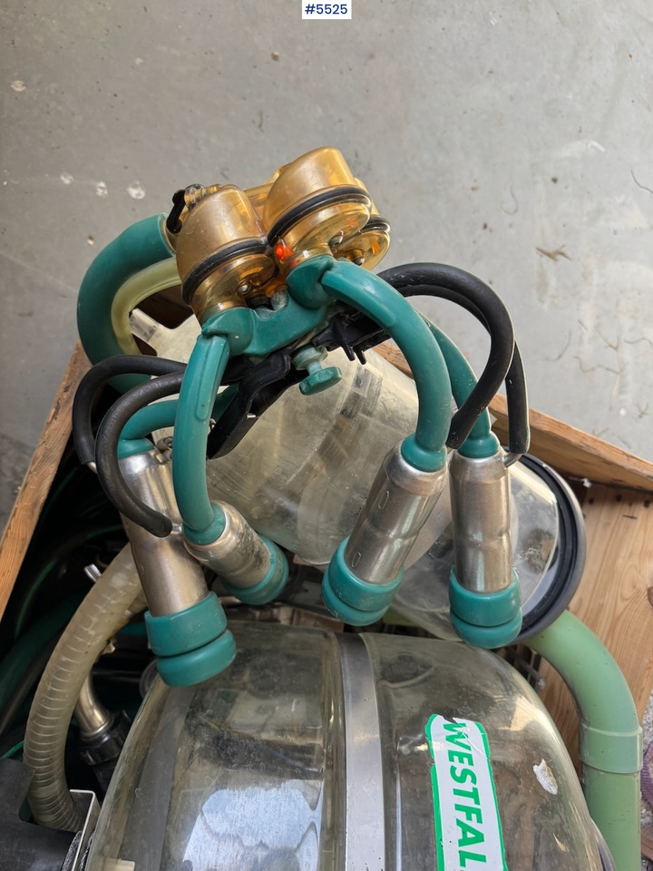 Westfalia Melkeanlegg - Milking equipment: picture 4 Westfalia Melkeanlegg - Milking equipment: picture 4