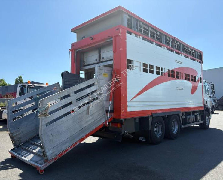 DAF CF85 360 - Livestock truck: picture 3 DAF CF85 360 - Livestock truck: picture 3