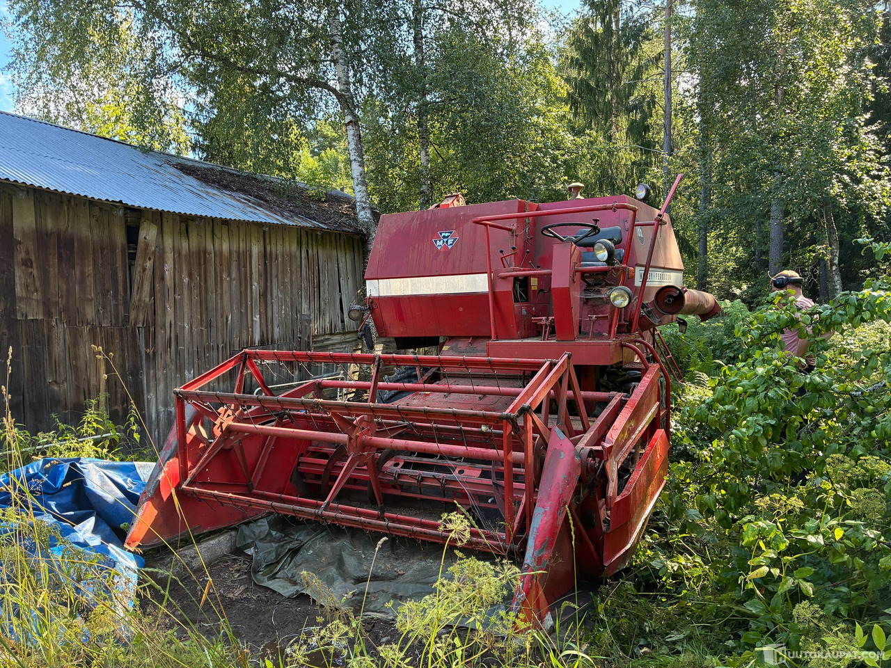 Massey Ferguson 186 Leikkuupuimuri, Kangasala - Agricultural machinery: picture 2 Massey Ferguson 186 Leikkuupuimuri, Kangasala - Agricultural machinery: picture 2