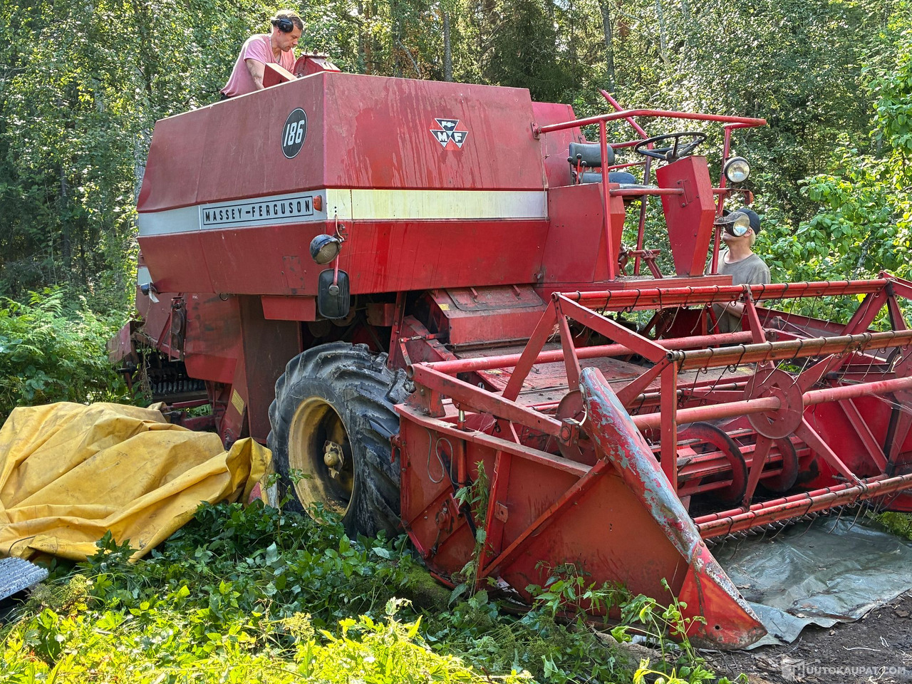 Massey Ferguson 186 Leikkuupuimuri, Kangasala - Agricultural machinery: picture 3 Massey Ferguson 186 Leikkuupuimuri, Kangasala - Agricultural machinery: picture 3