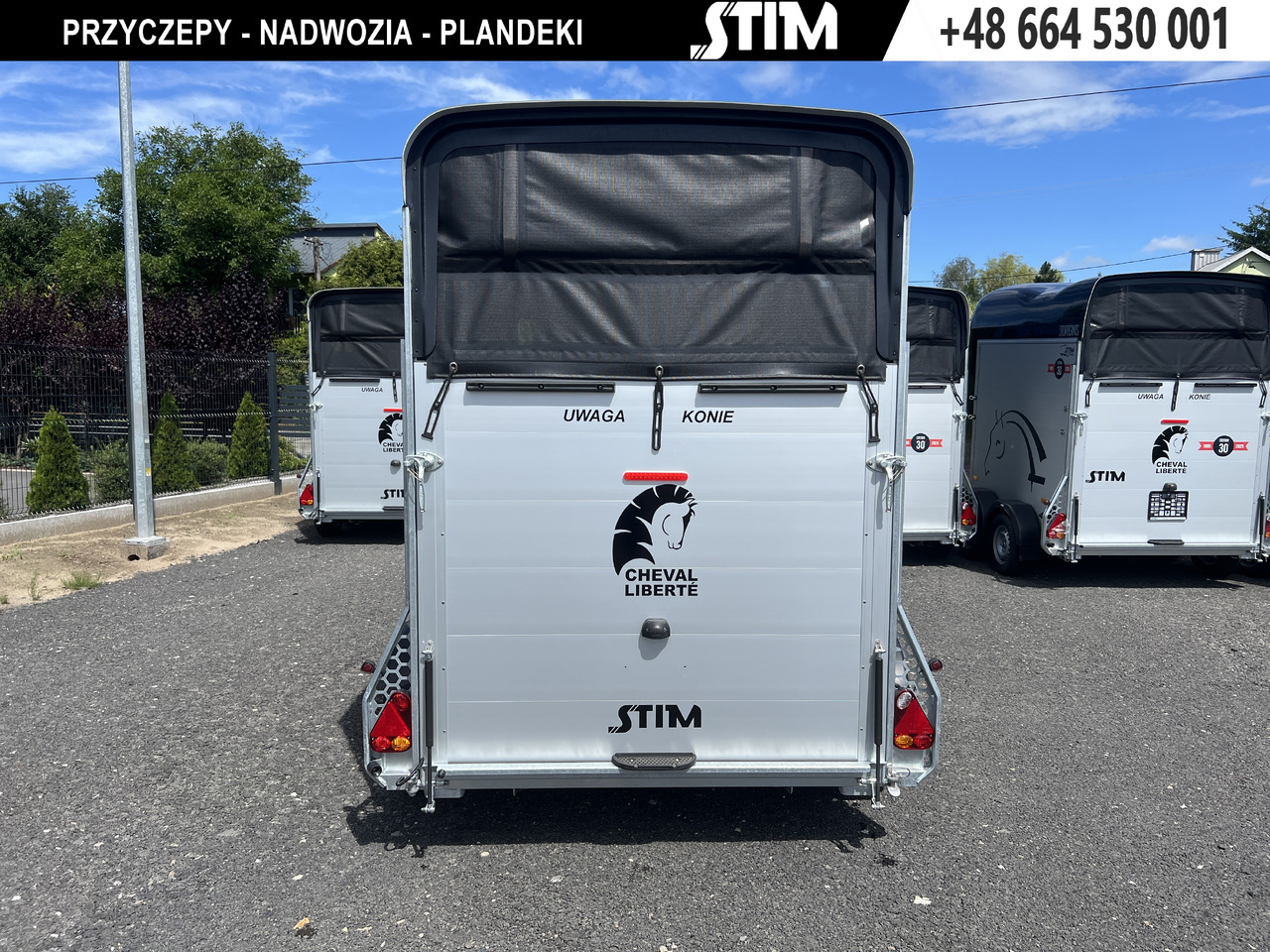 CHEVAL LIBERTÉ Touring Country - Horse trailer: picture 3 CHEVAL LIBERTÉ Touring Country - Horse trailer: picture 3