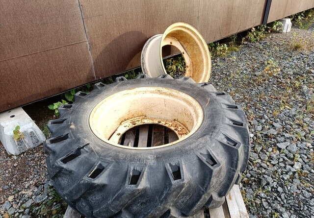 Fahr M600 - Tire for Farm tractor: picture 1 Fahr M600 - Tire for Farm tractor: picture 1