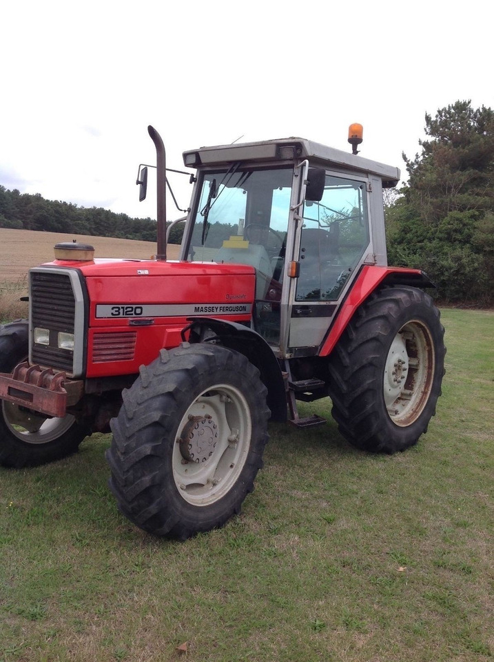 Massey Ferguson 3120 - Farm tractor: picture 1 Massey Ferguson 3120 - Farm tractor: picture 1
