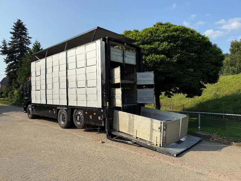 Volvo FM 300 Livestock Cuppers 3 laags 6x2 - Livestock truck: picture 2 Volvo FM 300 Livestock Cuppers 3 laags 6x2 - Livestock truck: picture 2