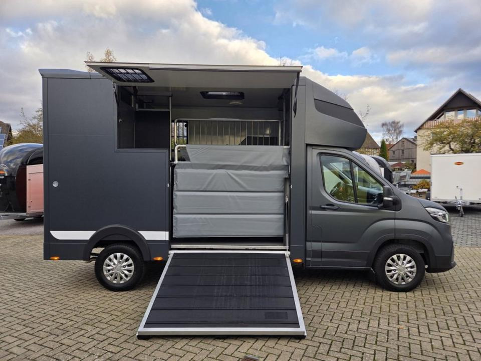 MSG Stablehopper Pferdetransporter Pferdeanhänger Böckmann - Horse truck: picture 5 MSG Stablehopper Pferdetransporter Pferdeanhänger Böckmann - Horse truck: picture 5