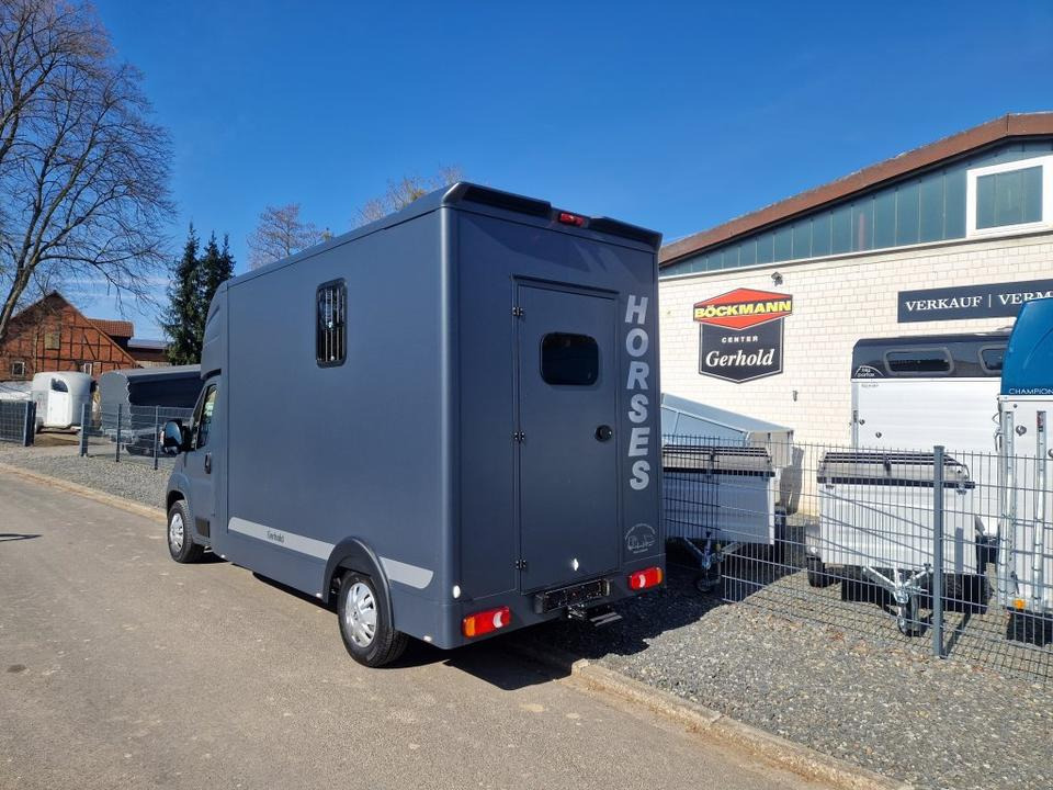 MSG Stablehopper Pferdetransporter Pferdeanhänger Böckmann - Horse truck: picture 4 MSG Stablehopper Pferdetransporter Pferdeanhänger Böckmann - Horse truck: picture 4