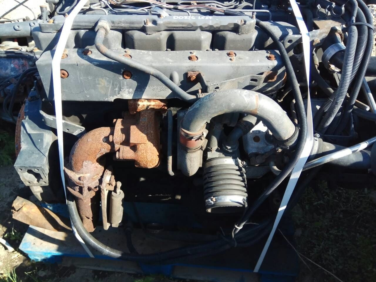 MAN D0826 LF17 MAN M 2000 M - Engine for Truck: picture 5 MAN D0826 LF17 MAN M 2000 M - Engine for Truck: picture 5