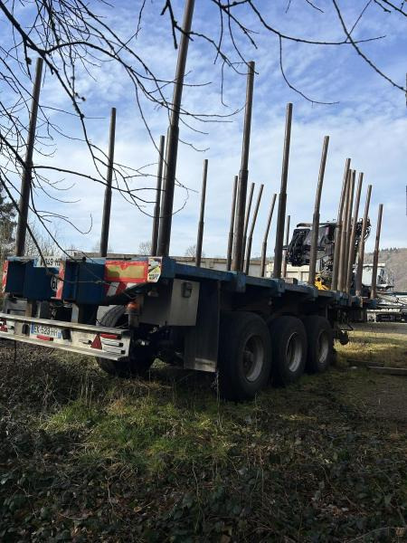 Diebolt grue avec grappin rotatif - Timber semi-trailer: picture 4 Diebolt grue avec grappin rotatif - Timber semi-trailer: picture 4