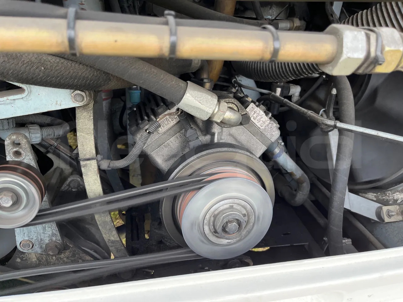 City bus Man A21: picture 17