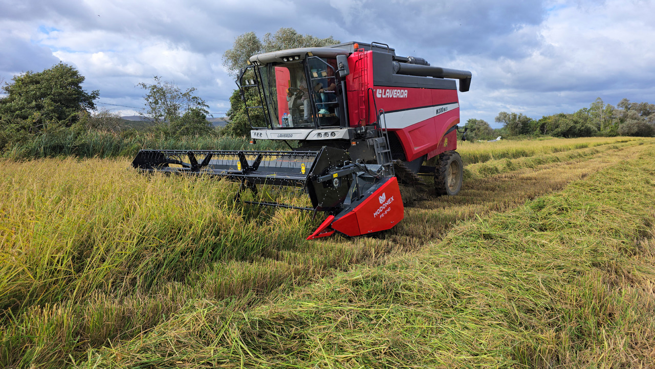 Modonex FE-600 - Combine header: picture 4 Modonex FE-600 - Combine header: picture 4