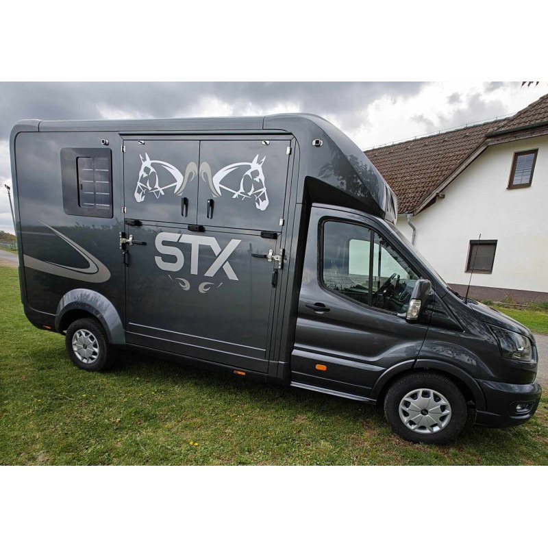 STX Ford Transit by Stephex - Horse truck: picture 3 STX Ford Transit by Stephex - Horse truck: picture 3