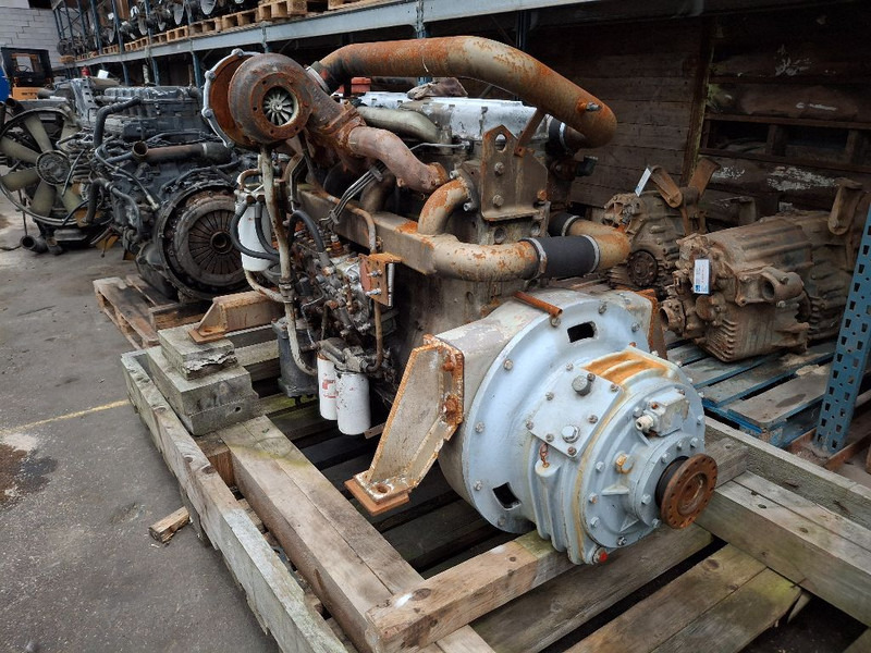 DAF 1160 TURBO (DKS1160E) - Engine: picture 4 DAF 1160 TURBO (DKS1160E) - Engine: picture 4