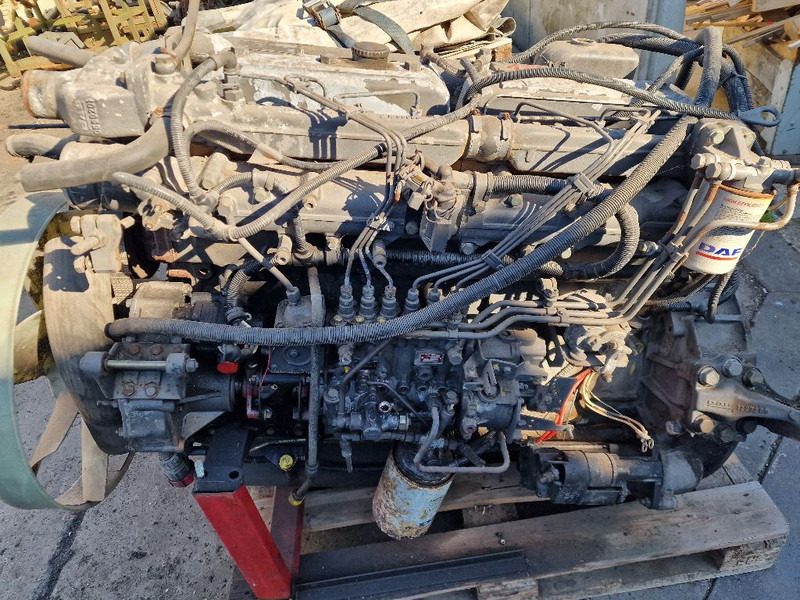 DAF 865 RS200L - Engine: picture 5 DAF 865 RS200L - Engine: picture 5