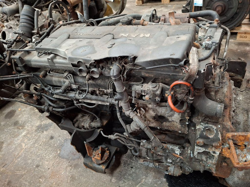 MAN D0836LOH63 - Engine: picture 5 MAN D0836LOH63 - Engine: picture 5