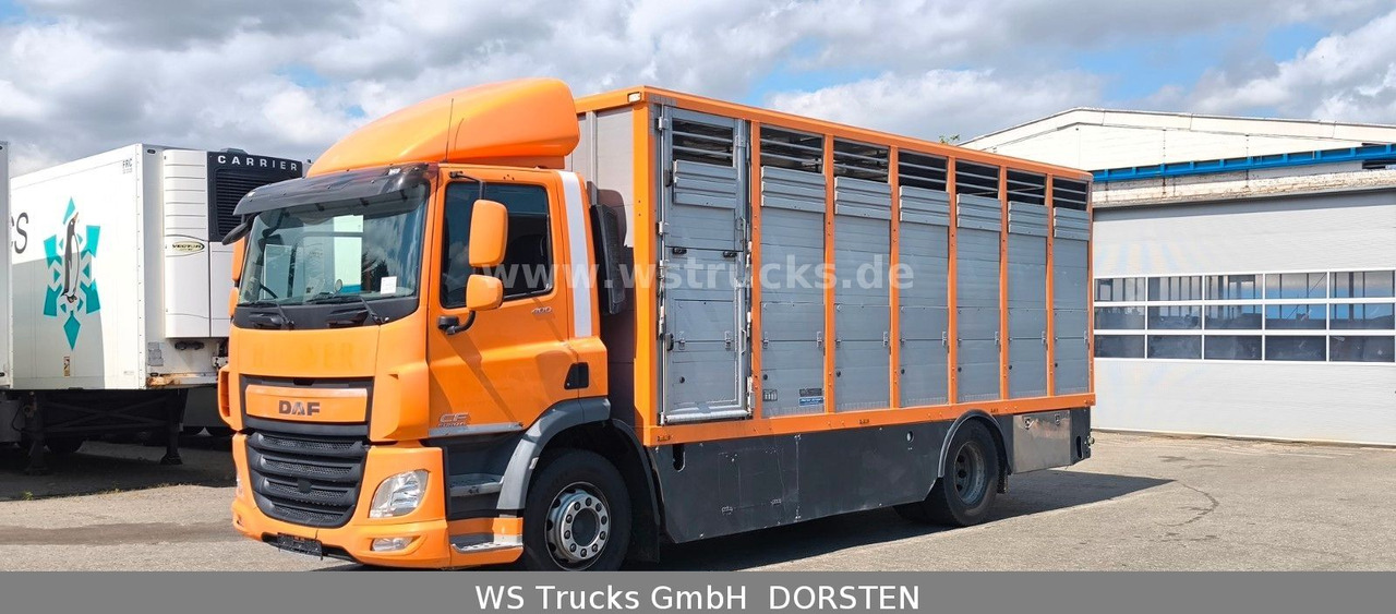DAF CF 400 Menke Einstock - Horse truck: picture 3 DAF CF 400 Menke Einstock - Horse truck: picture 3