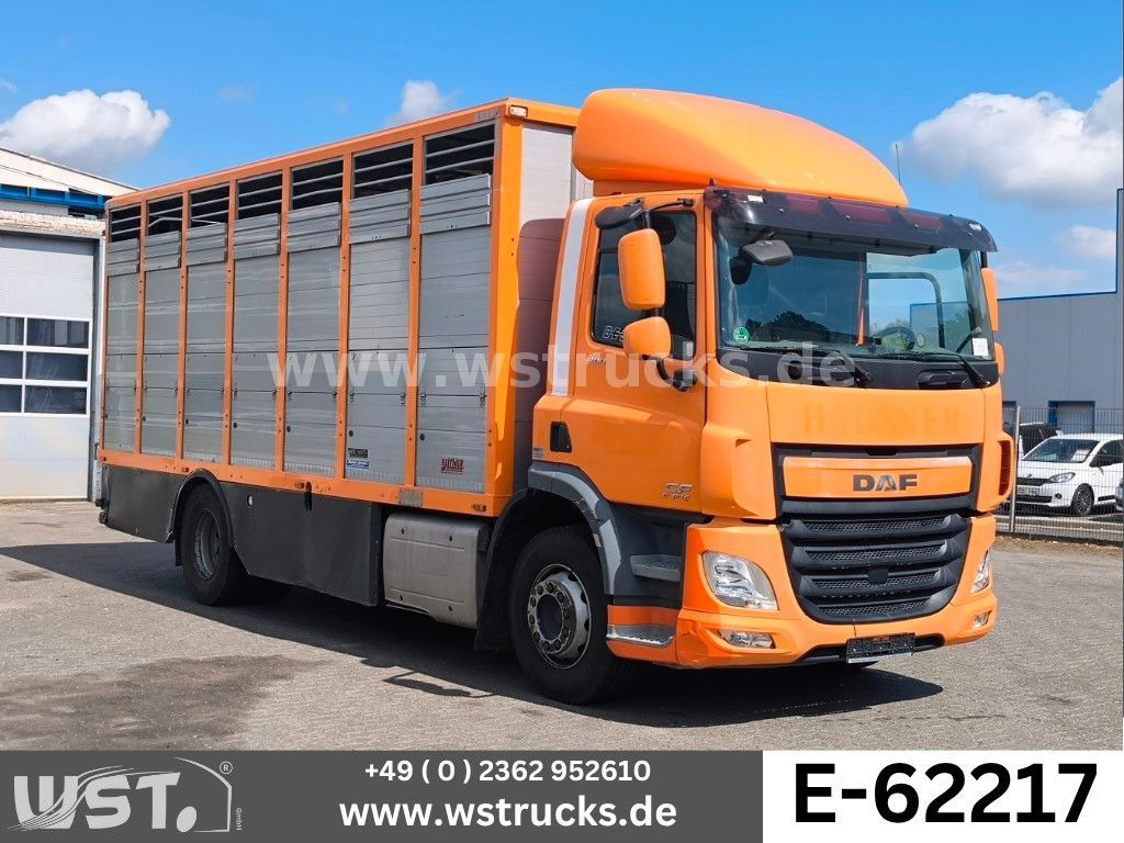 DAF CF 400 Menke Einstock - Horse truck: picture 1 DAF CF 400 Menke Einstock - Horse truck: picture 1