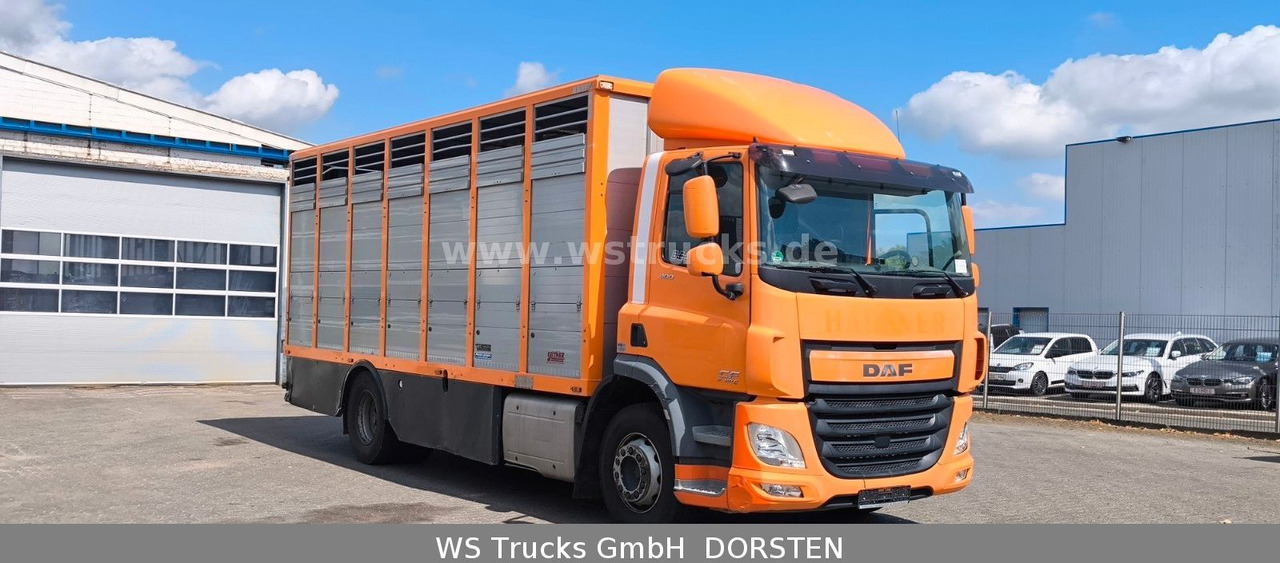 DAF CF 400 Menke Einstock - Horse truck: picture 4 DAF CF 400 Menke Einstock - Horse truck: picture 4