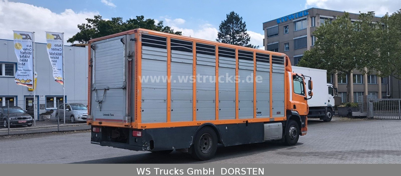 DAF CF 400 Menke Einstock - Horse truck: picture 5 DAF CF 400 Menke Einstock - Horse truck: picture 5
