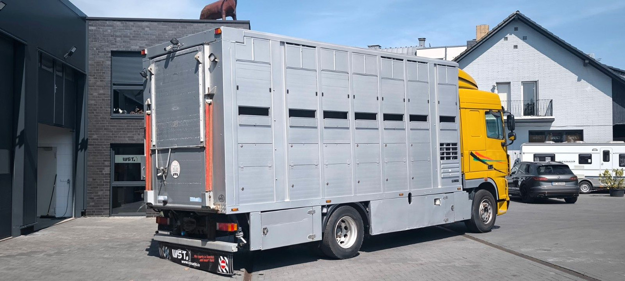 DAF XF 410 SC Menke Doppelstock - Horse truck: picture 3 DAF XF 410 SC Menke Doppelstock - Horse truck: picture 3
