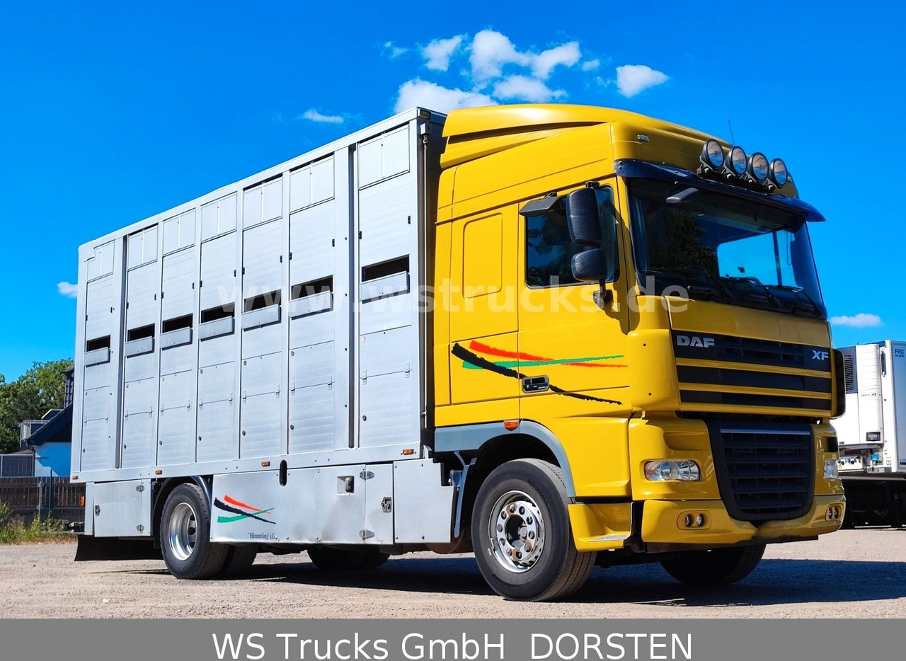 DAF XF 410 SC Menke Doppelstock - Horse truck: picture 2 DAF XF 410 SC Menke Doppelstock - Horse truck: picture 2