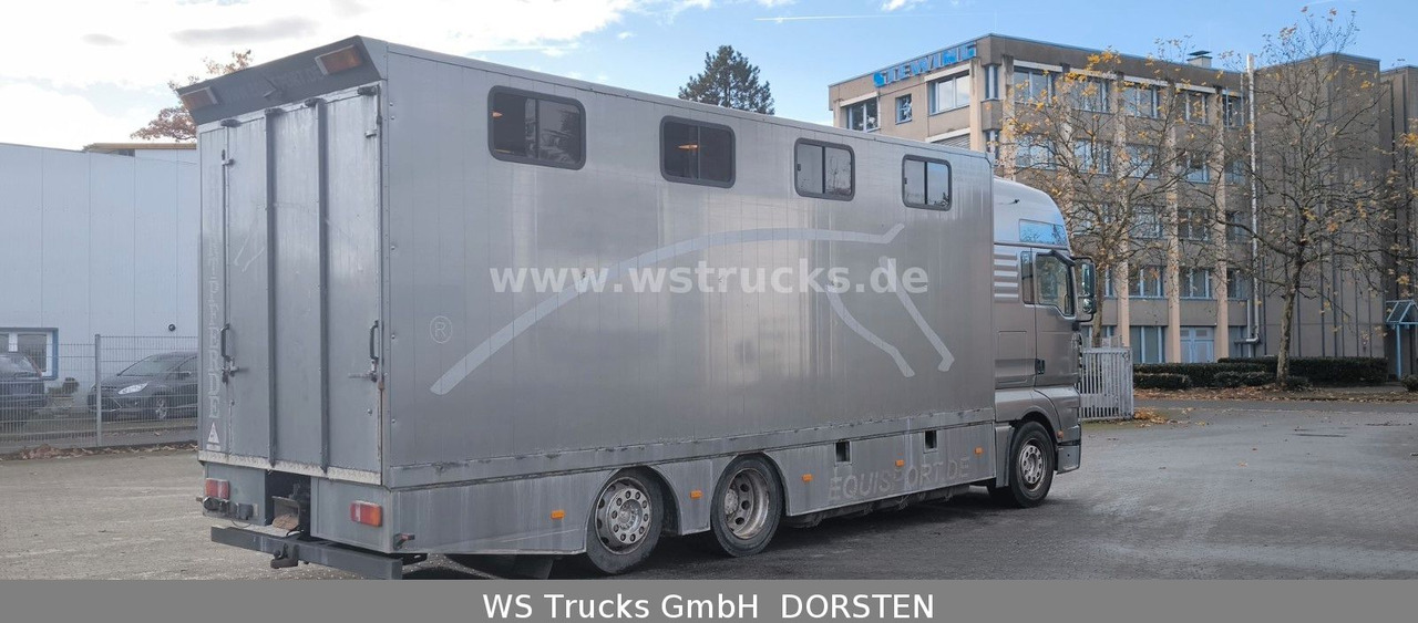 MAN TGA 26.480 FG 6x2 Pferdetransporter Luft/Luft - Horse truck: picture 4 MAN TGA 26.480 FG 6x2 Pferdetransporter Luft/Luft - Horse truck: picture 4