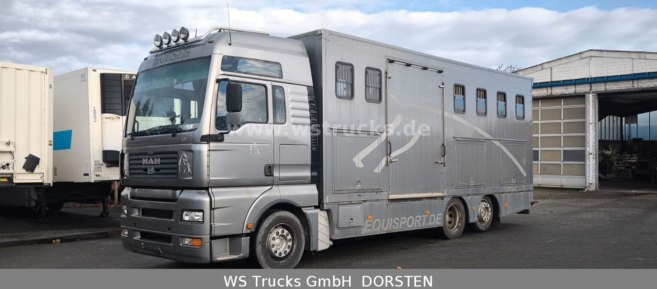 MAN TGA 26.480 FG 6x2 Pferdetransporter Luft/Luft - Horse truck: picture 2 MAN TGA 26.480 FG 6x2 Pferdetransporter Luft/Luft - Horse truck: picture 2