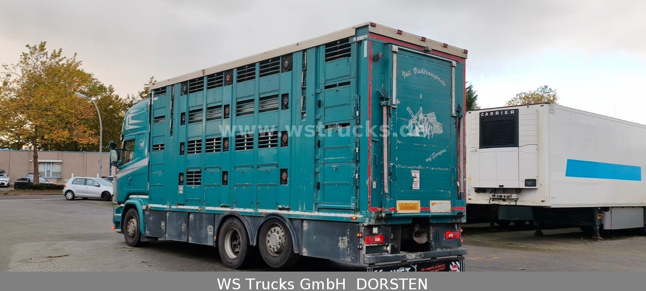 Scania R 490 Topline Menke 4 Stock Hubdach | Retader - Horse truck: picture 4 Scania R 490 Topline Menke 4 Stock Hubdach | Retader - Horse truck: picture 4