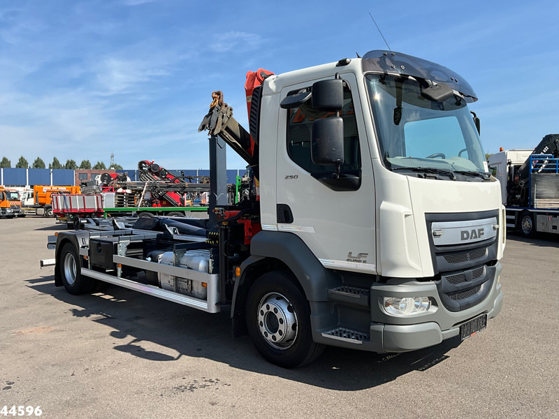 DAF FA LF 250 Euro 6 Palfinger 6,5 Tonmeter laadkraan - Hook lift truck, Crane truck: picture 3 DAF FA LF 250 Euro 6 Palfinger 6,5 Tonmeter laadkraan - Hook lift truck, Crane truck: picture 3