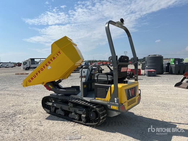 2023 Wacker Neuson DT23 Swivel Crawler Dumper - Crawler dumper: picture 4 2023 Wacker Neuson DT23 Swivel Crawler Dumper - Crawler dumper: picture 4