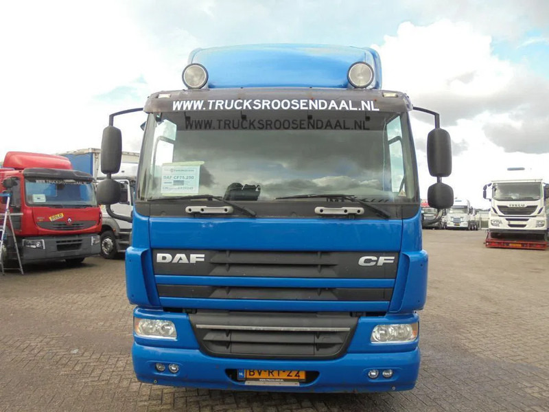 DAF CF 75.250 + Euro 5 - Cab chassis truck: picture 2 DAF CF 75.250 + Euro 5 - Cab chassis truck: picture 2
