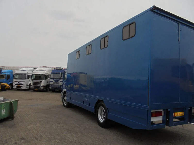 Horse truck MAN 12 .225 + MANUAL: picture 13 Horse truck MAN 12 .225 + MANUAL: picture 13