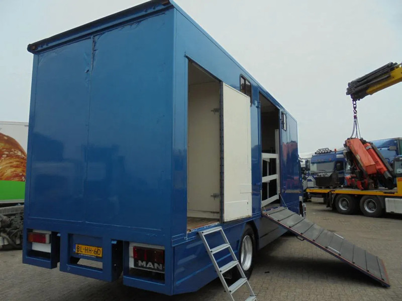 Horse truck MAN 12 .225 + MANUAL: picture 6 Horse truck MAN 12 .225 + MANUAL: picture 6