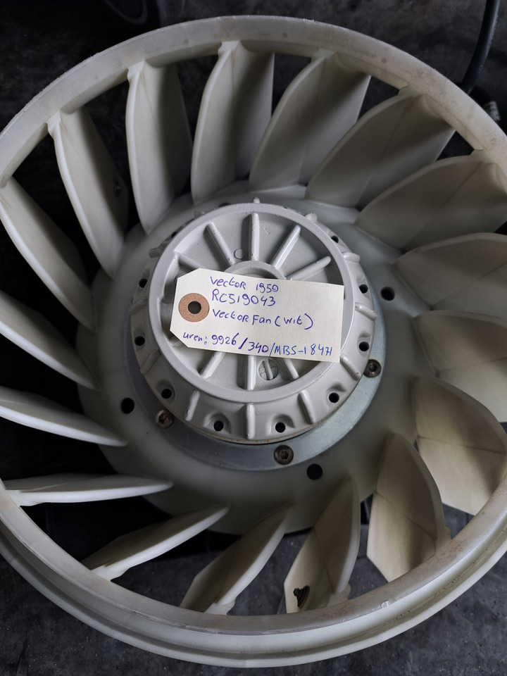 Vector Fan - Fan: picture 2 Vector Fan - Fan: picture 2