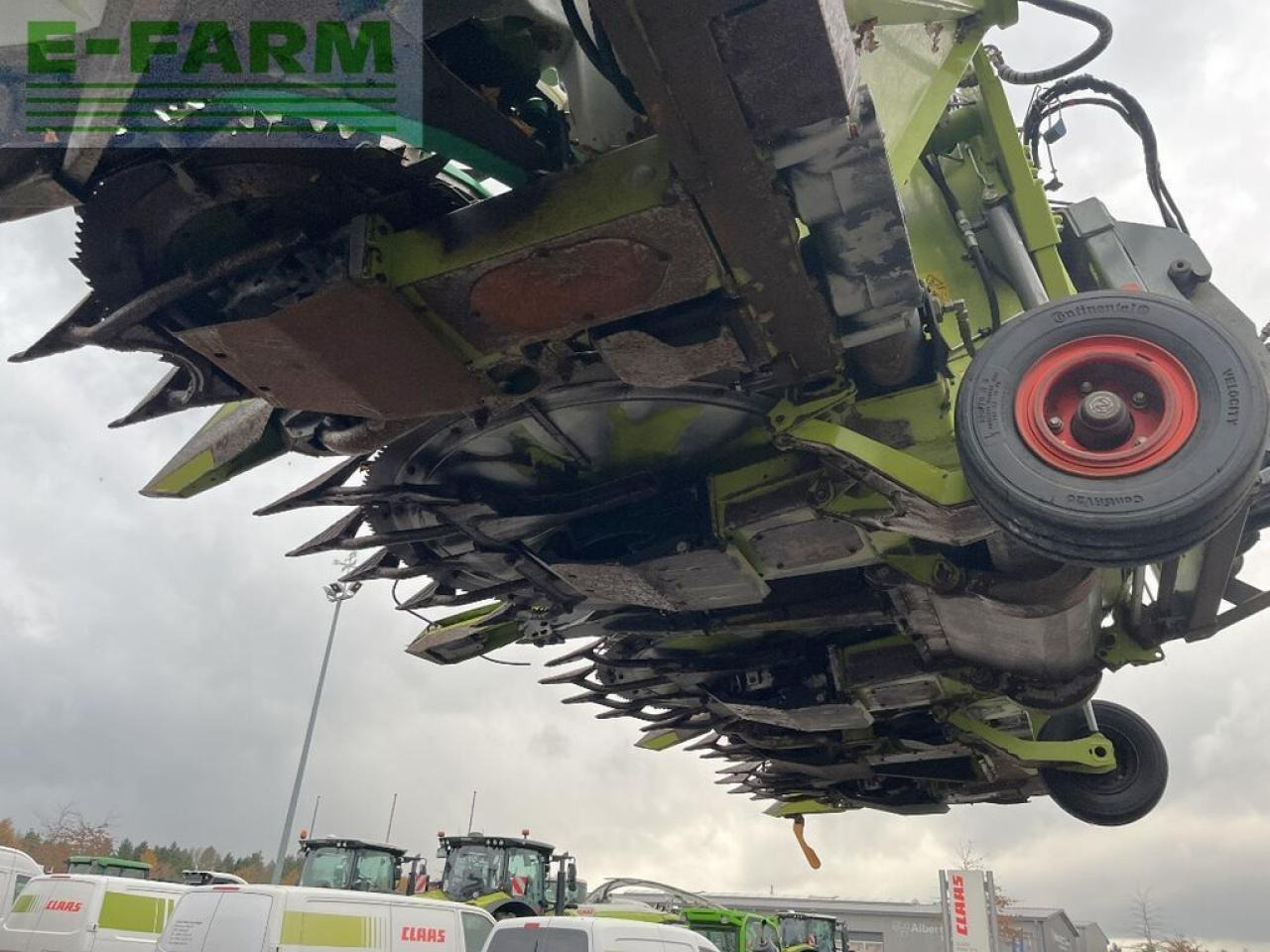 Forage harvester attachment CLAAS orbis 750 ac auto contour, 10-reiher, für jaguar: picture 12