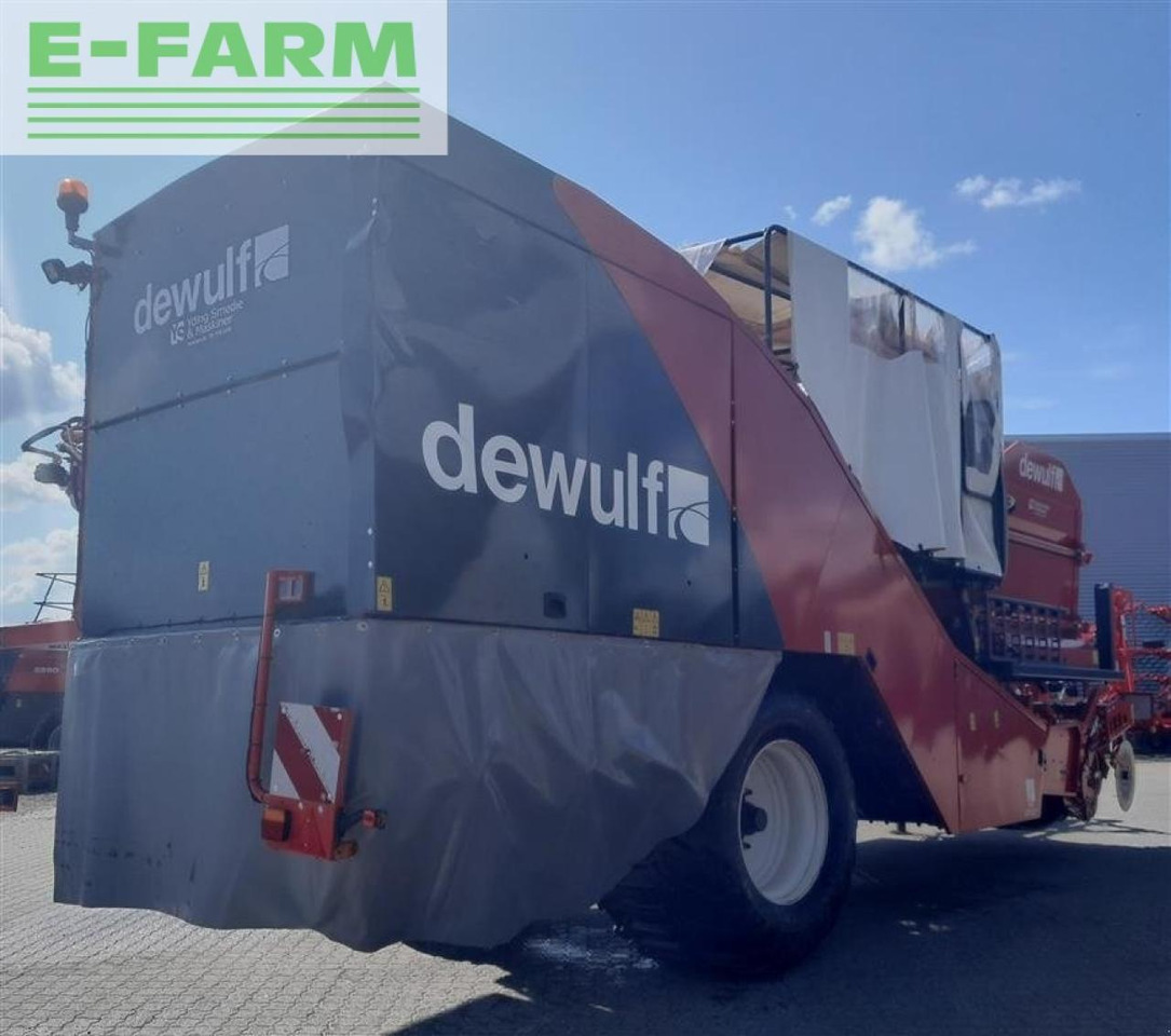 Dewulf torro - Potato harvester: picture 5 Dewulf torro - Potato harvester: picture 5