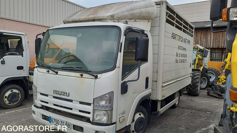 Bétaillère abattoir ISUZU - 2008 - Livestock truck: picture 1 Bétaillère abattoir ISUZU - 2008 - Livestock truck: picture 1