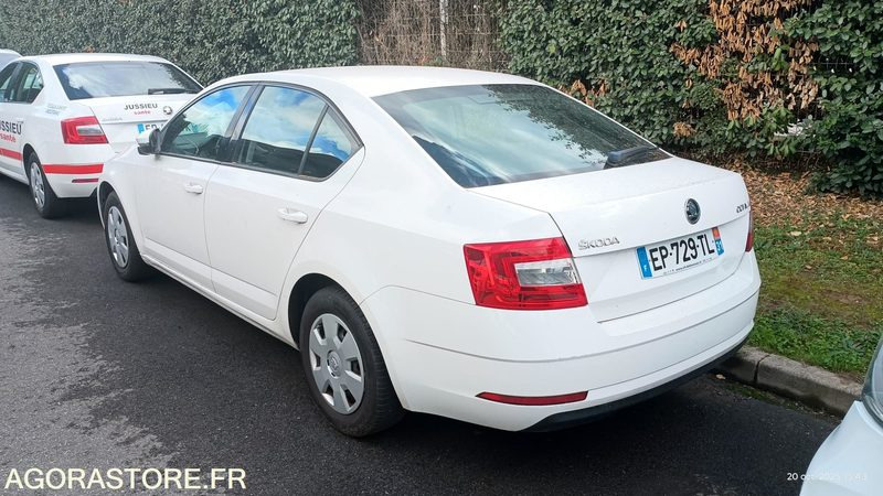 EP-729-TL - Non Roulant - SKODA OCTAVIA - VP -  349 390 Kms - Car: picture 3 EP-729-TL - Non Roulant - SKODA OCTAVIA - VP -  349 390 Kms - Car: picture 3