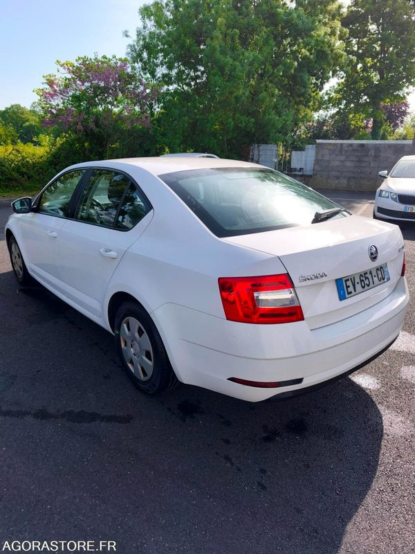 EV-651-CD - Roulant - SKODA OCTAVIA - VP - 348 356 Kms - Car: picture 5 EV-651-CD - Roulant - SKODA OCTAVIA - VP - 348 356 Kms - Car: picture 5