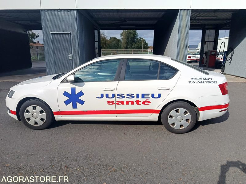 FB-732-ZZ - Non Roulant - SKODA OCTAVIA - VP - 309 757 Kms - Car: picture 2 FB-732-ZZ - Non Roulant - SKODA OCTAVIA - VP - 309 757 Kms - Car: picture 2