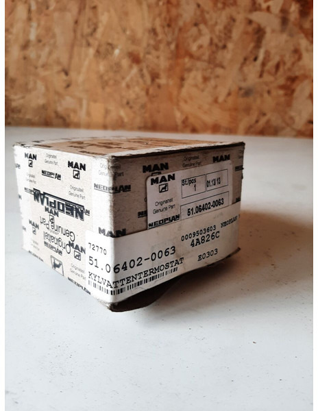 MAN - Cooling system: picture 2 MAN - Cooling system: picture 2