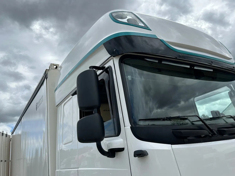 DAF XF 480 leasing DAF XF 480: picture 8