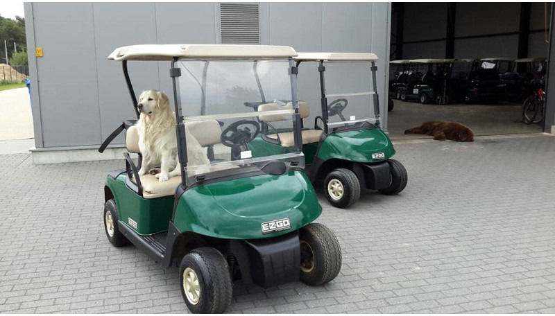 EZGO rxv petrol - Golf cart: picture 2 EZGO rxv petrol - Golf cart: picture 2