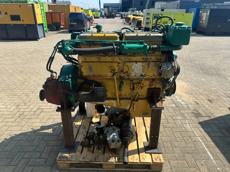 DAF 1160 Marine Diesel Motor met keerkoppeling 170 PK Engine - Engine: picture 3 DAF 1160 Marine Diesel Motor met keerkoppeling 170 PK Engine - Engine: picture 3