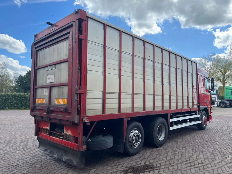 DAF XF FAR 95XF.380 EURO 2 - Livestock truck: picture 4 DAF XF FAR 95XF.380 EURO 2 - Livestock truck: picture 4