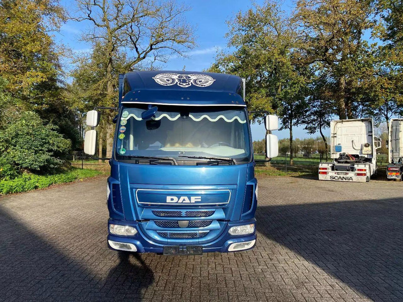 Livestock truck DAF LF 280: picture 6 Livestock truck DAF LF 280: picture 6