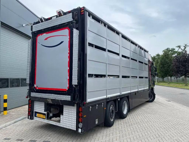 DAF XF 460 - Animal transporter - Livestock truck: picture 5 DAF XF 460 - Animal transporter - Livestock truck: picture 5